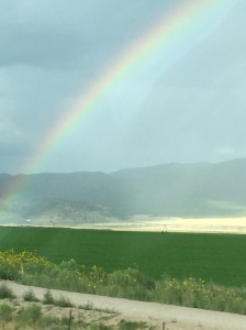 One of a dozen gorgeous rainbows.
