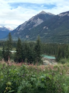 The beatiful view from our cabin.